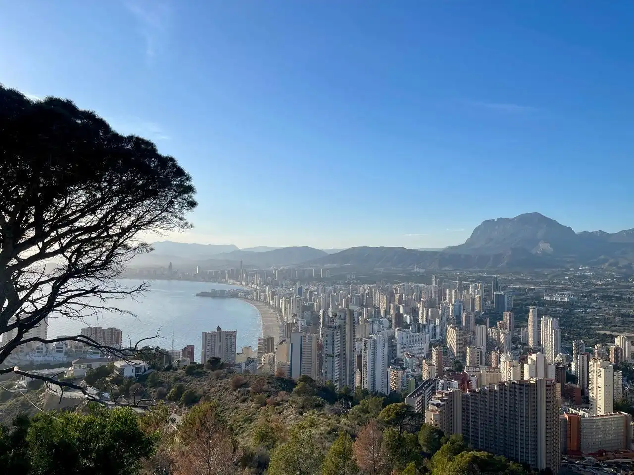 Vista exterior de Apartament en venda en Benidorm