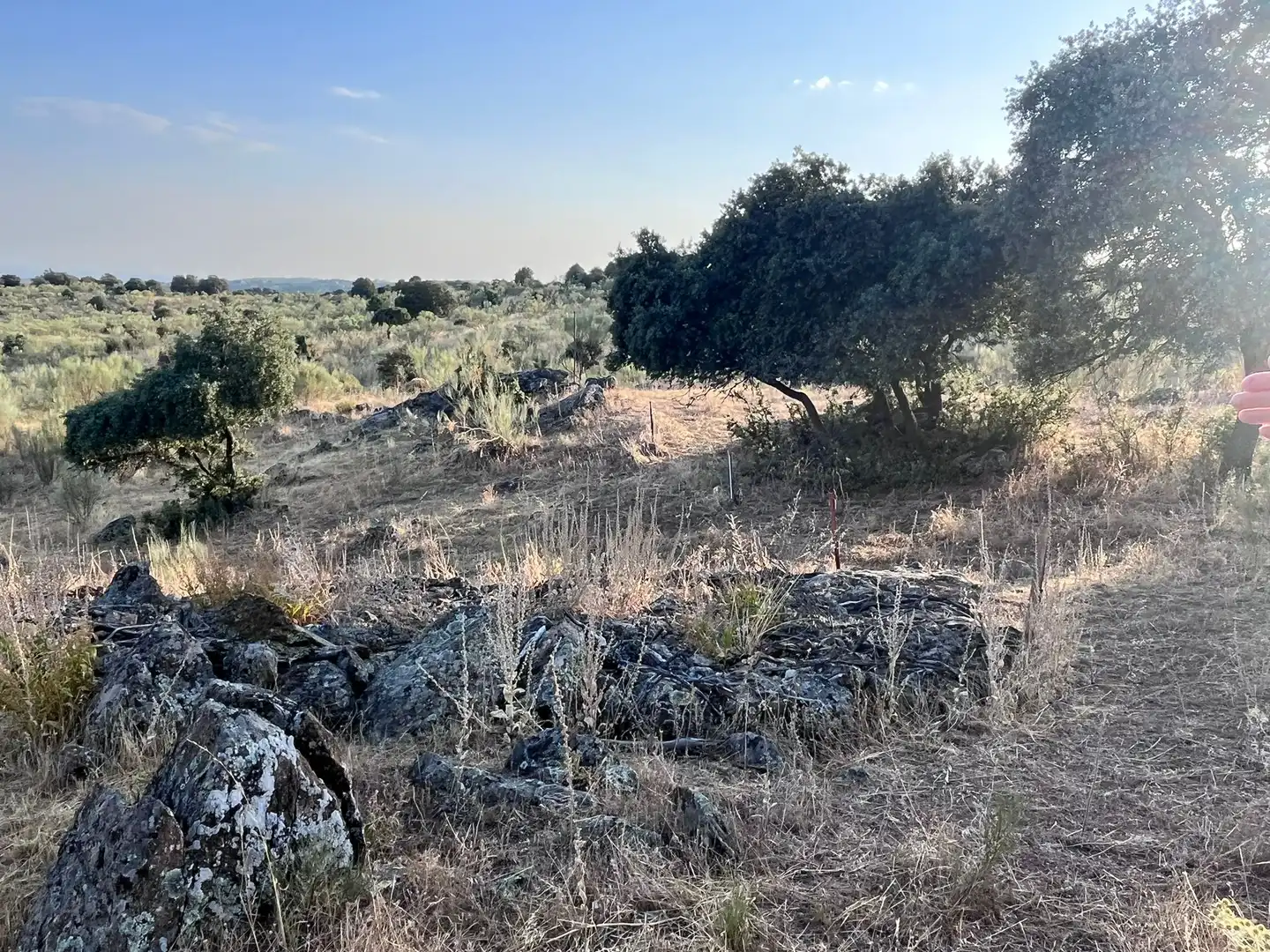 Terrain rustique à vendre à Colmenarejo, imagen 11
