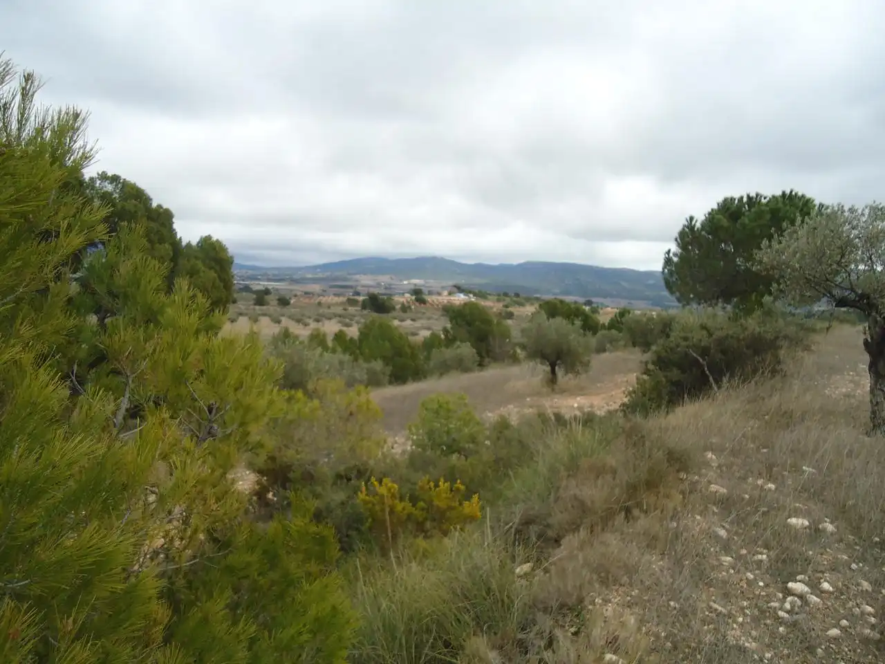 Terrenys i solars en venda a Castalla, imagen 5