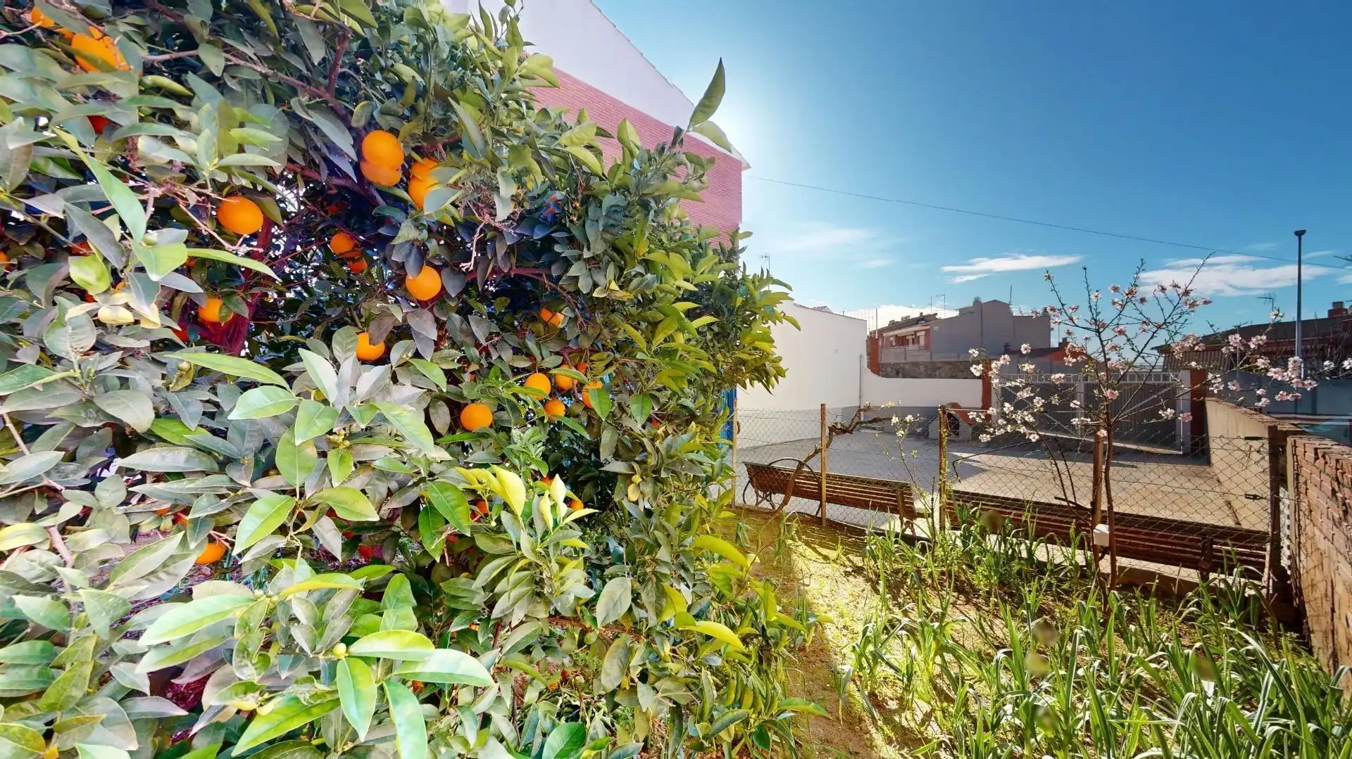 Casa en venta en Carrer ACACIA, imagen 36