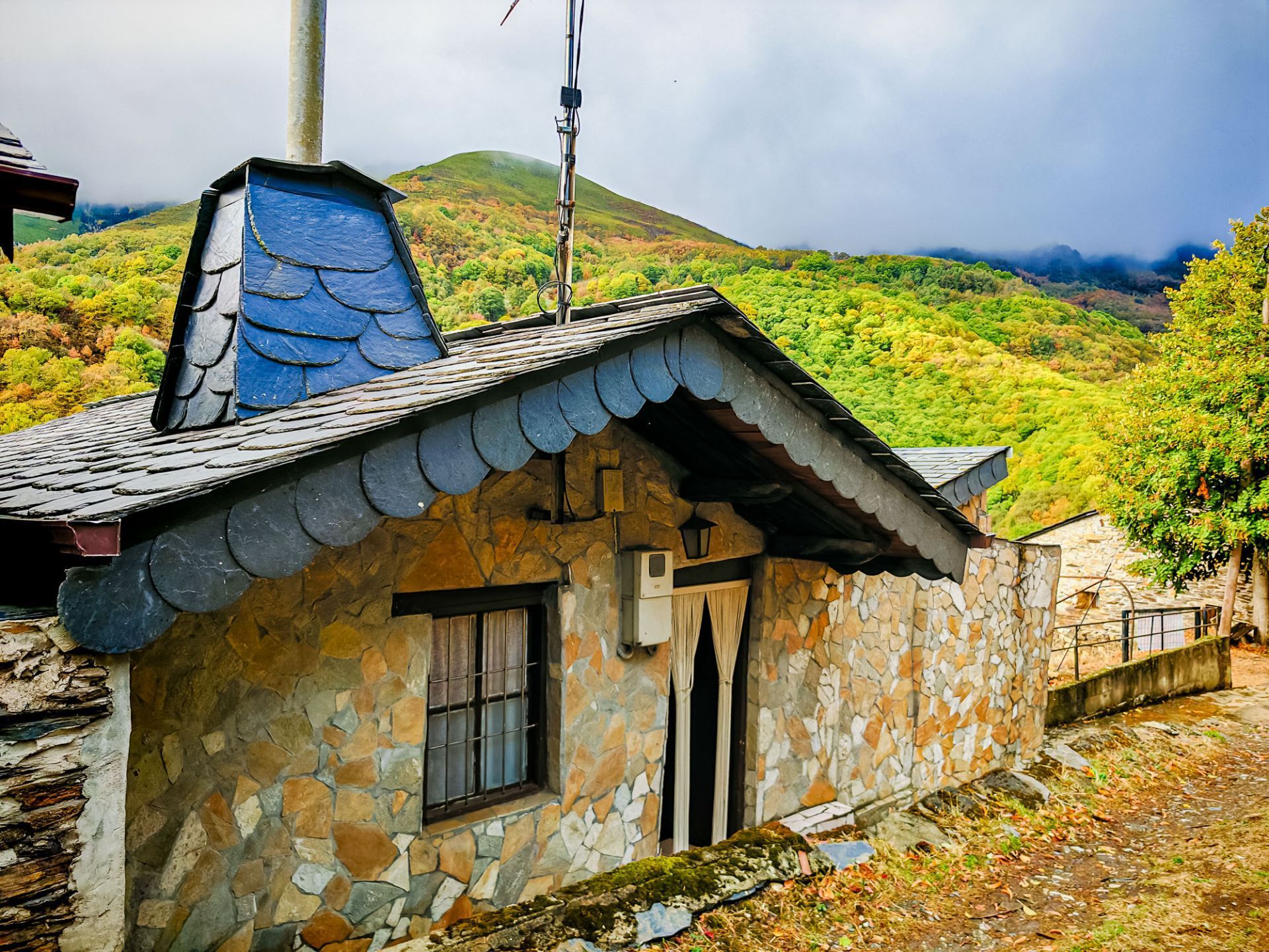 Exterior view of House or chalet for sale in Ponferrada  with Private garden