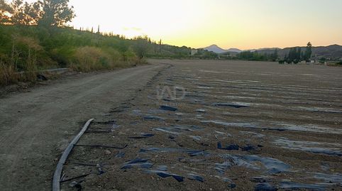 Photo 3 of Country homes for sale in Pozo Higuera, Lorca