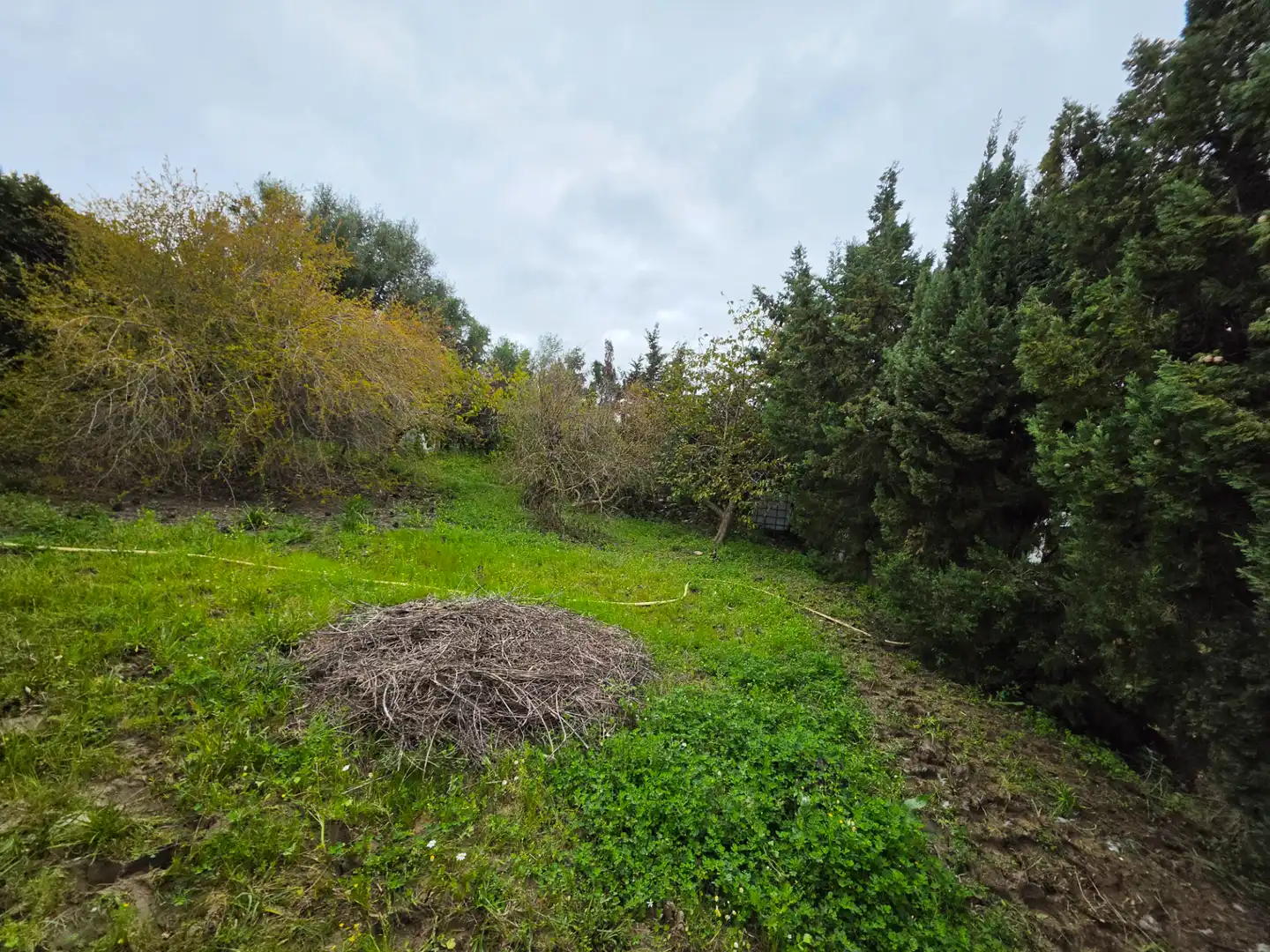Terreni e lotti in vendita a La Granja - La Colina - Los Pastores, imagen 17