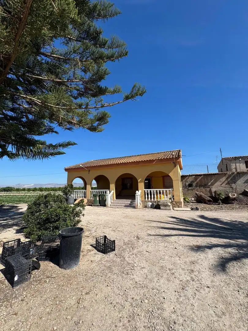 Vista exterior de Finca rústica en venta en Cox con Jardín privado