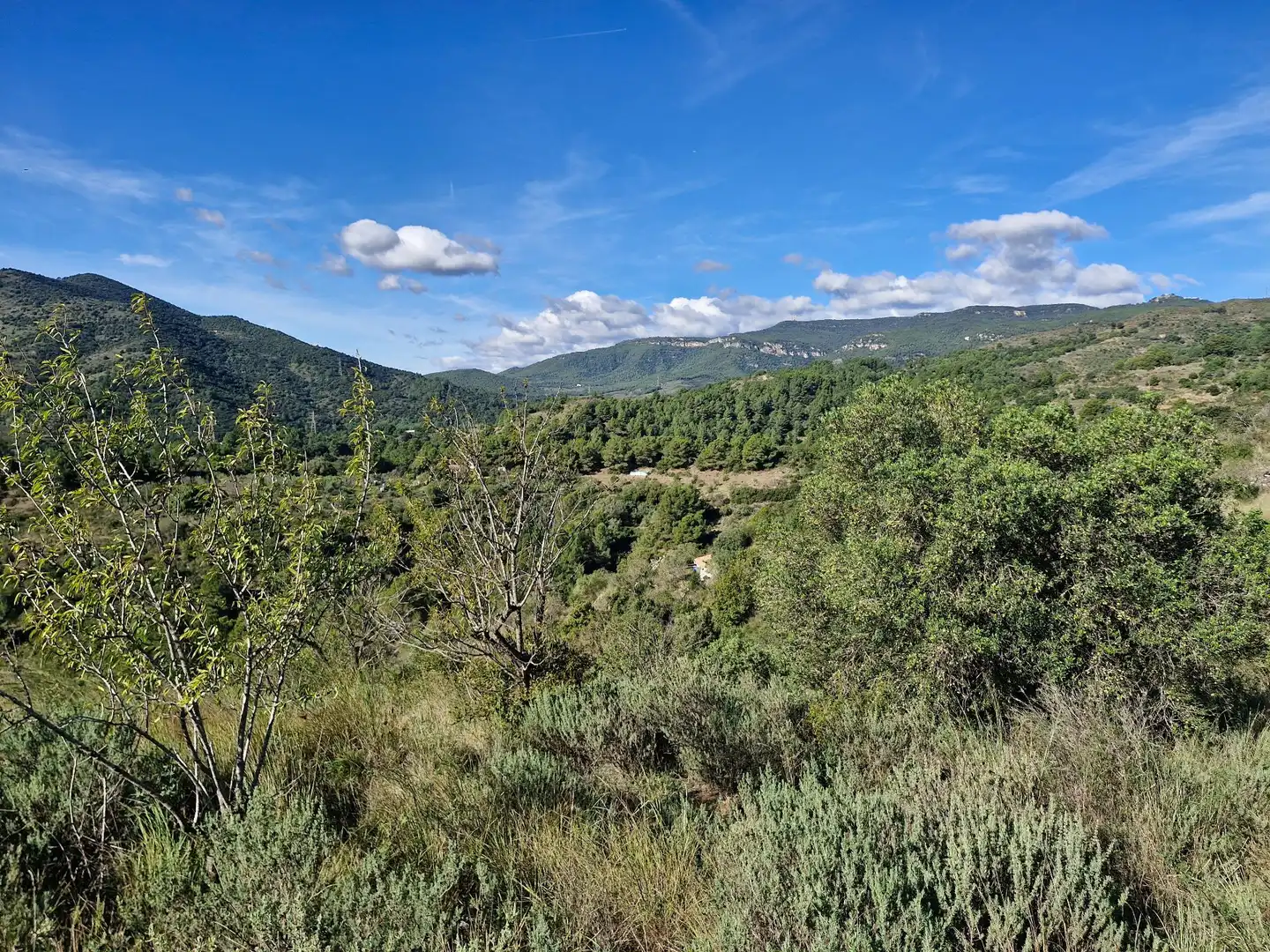 Terreno en venta en La Selva del Camp