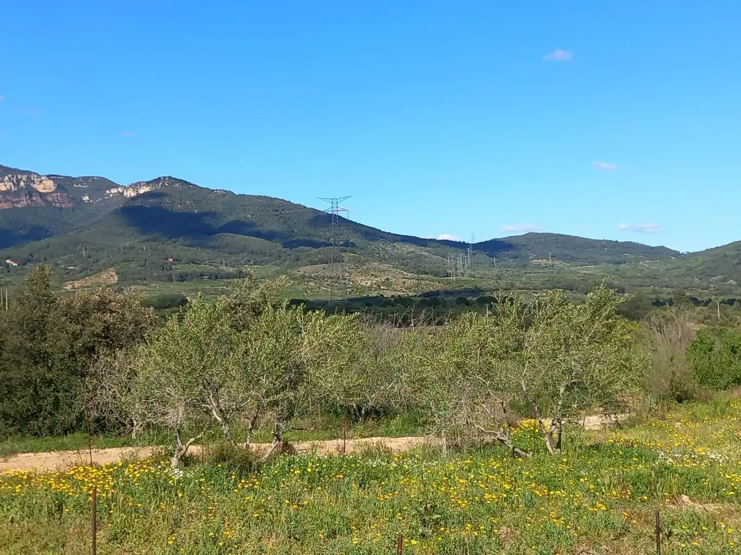Terreny residencial en venda a T-704, imagen 2