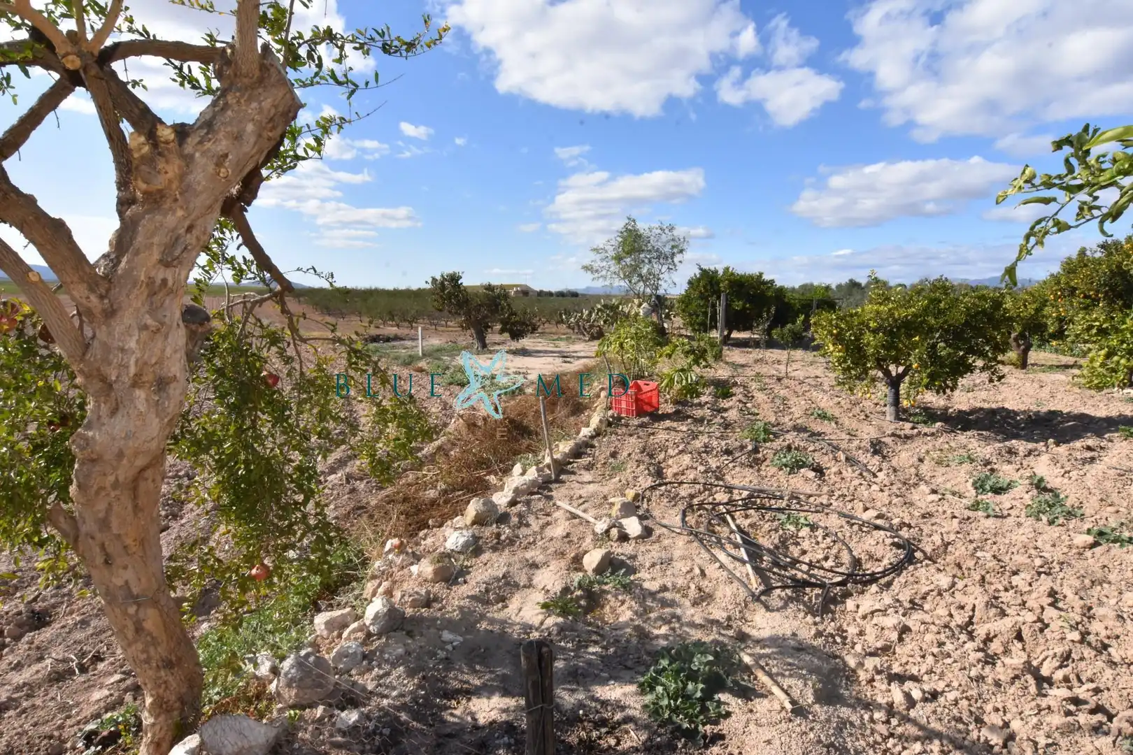 Maison rustique avec jardin à vendre à Mazarrón Casco Urbano, imagen 29