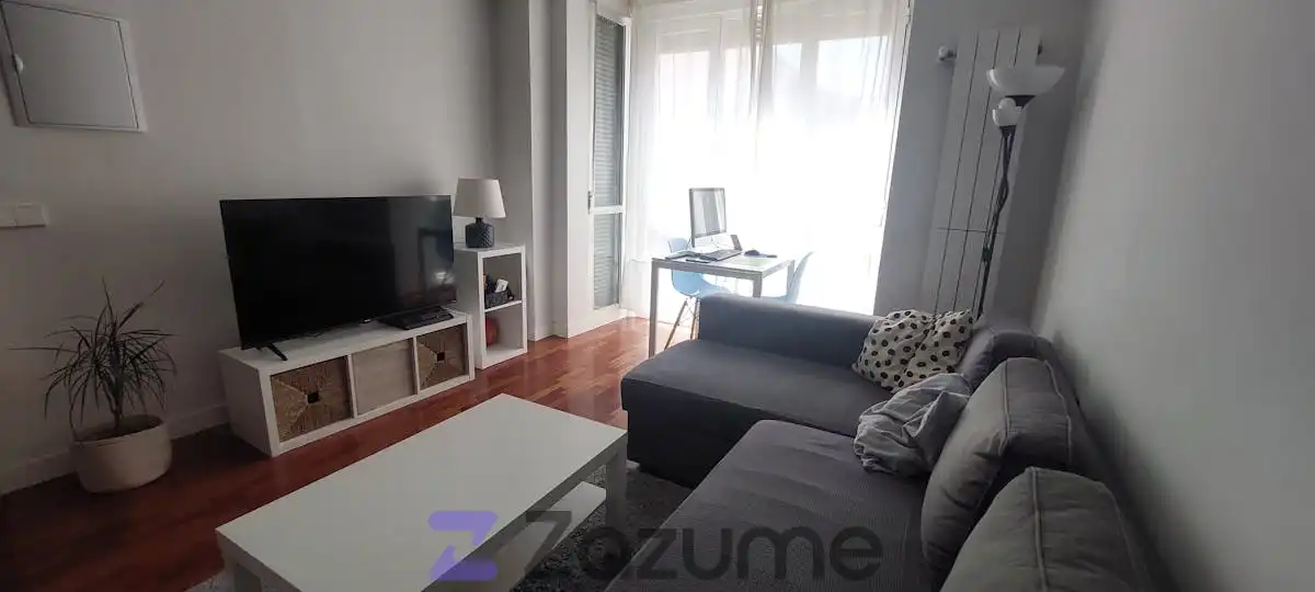 Sala d'estar de Estudi de lloguer en Madrid amb Aire condicionat, Calefacció i Parquet