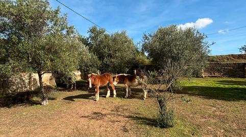 Photo 3 of Country house for sale in N/a, -1, Niebla, Huelva