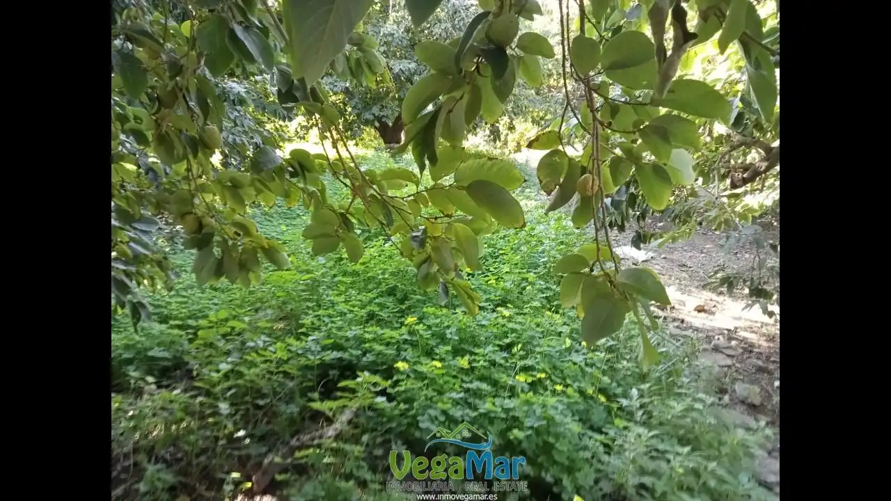 Residencial en venta en Almuñécar