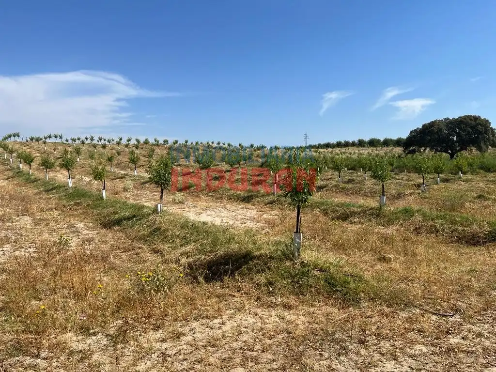 Country house for sale in Galisteo