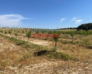 Finca rústica en venda en Galisteo