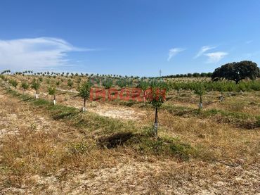 Casa rústica en venta en Galisteo