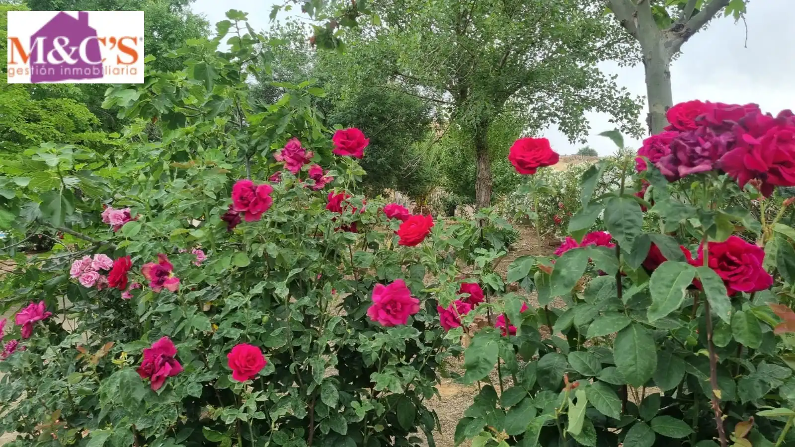 Garden of Houses for sale in Hinojosas de Calatrava  with Air Conditioner, Heating and Private garden