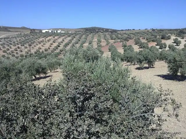 Lands and plots for sale in Bobadilla - Bobadilla Estación - La Joya, imagen 5