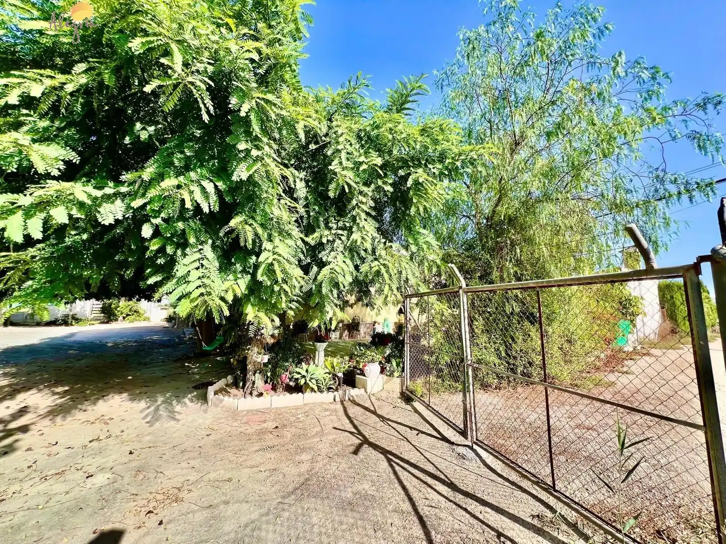 Villa avec piscine à vendre à Calle  Alcalde Joaquín Alberca, imagen 9