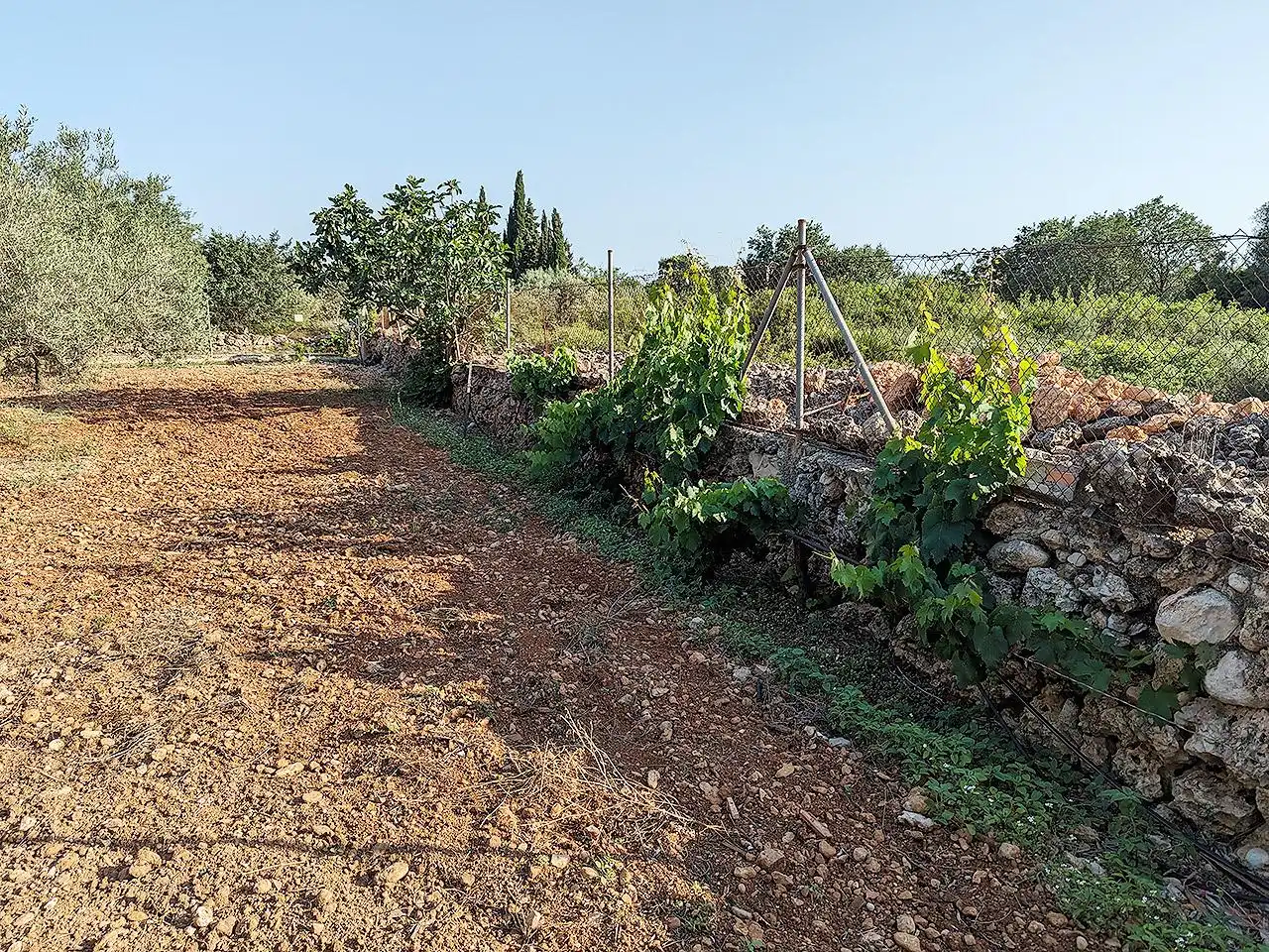 Country house with pool for sale in Mas de la Rata, imagen 6