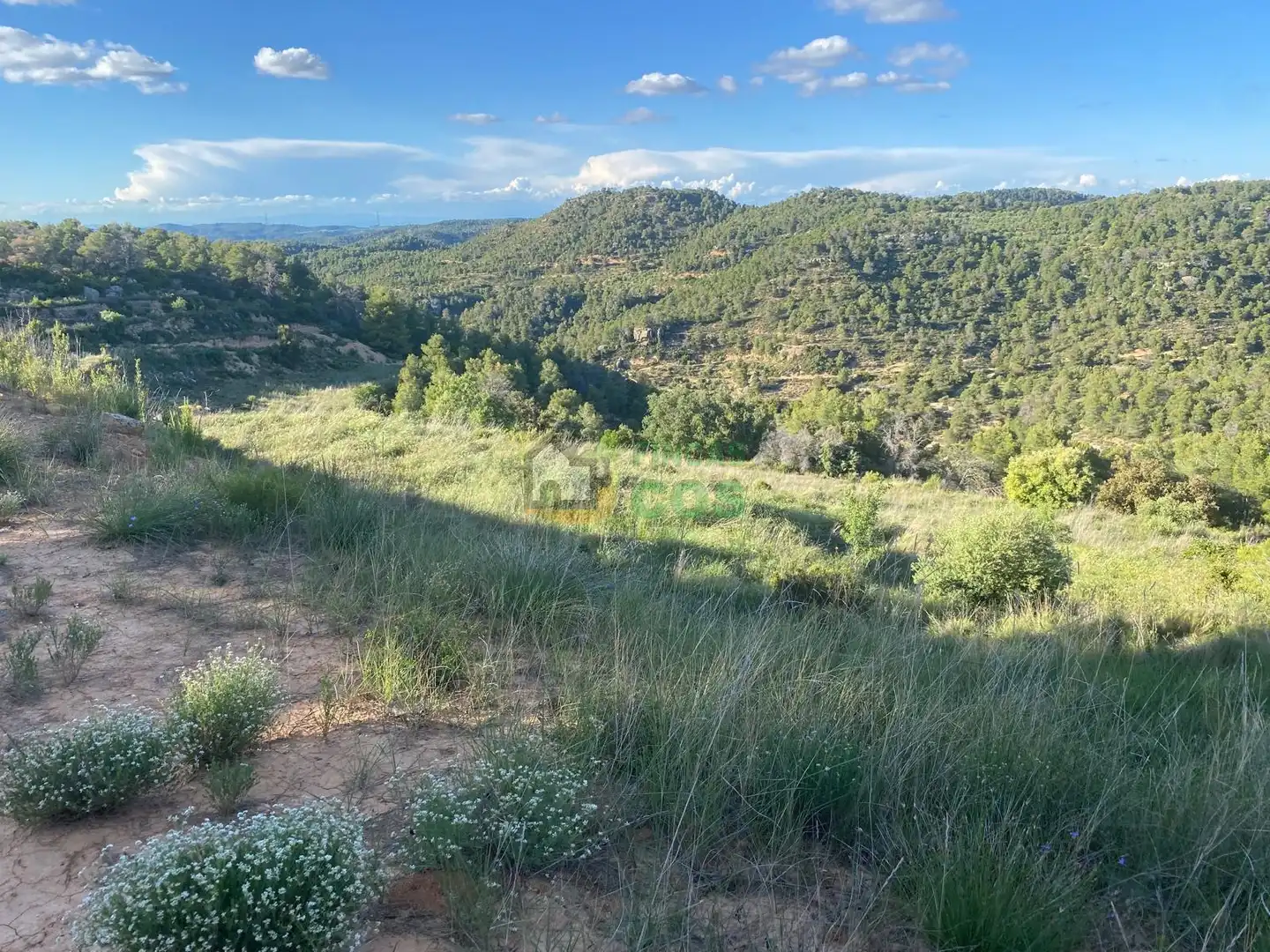 Residencial en venta en La Pobla de Cérvoles