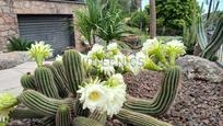 Jardí de Casa o xalet en venda en Bigues i Riells amb Aire condicionat, Calefacció i Jardí privat