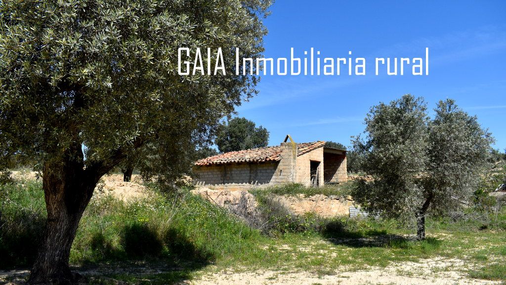 Country house zum verkauf in Maella