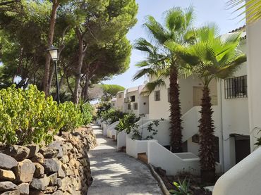 Duplex à vendre à Seghers