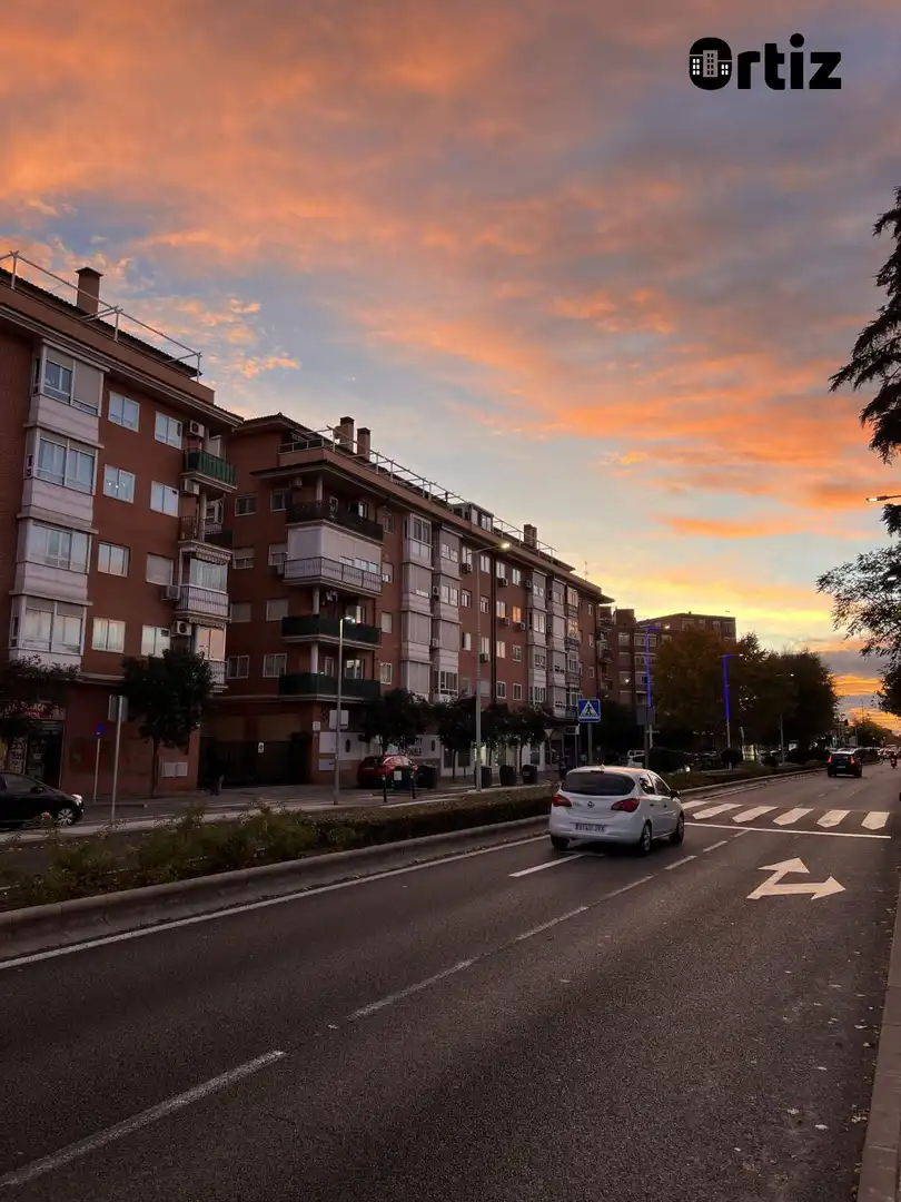 Business premises to rent in Cañada - Mancha Amarilla, imagen 11