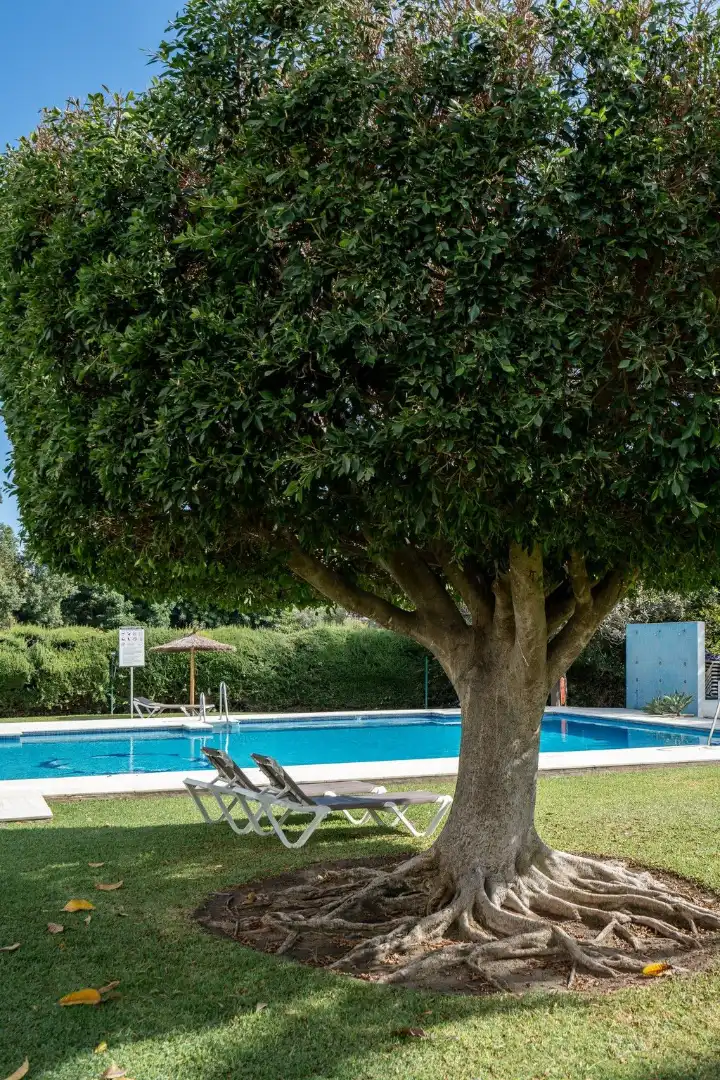 Apartamento con piscina en venta en Calle 19 15, imagen 4