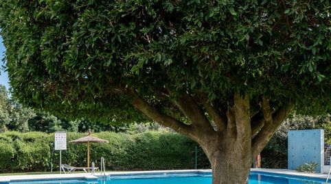 Foto 4 de Apartament en venda a Calle 19, 15, Guadalmina Alta, Marbella