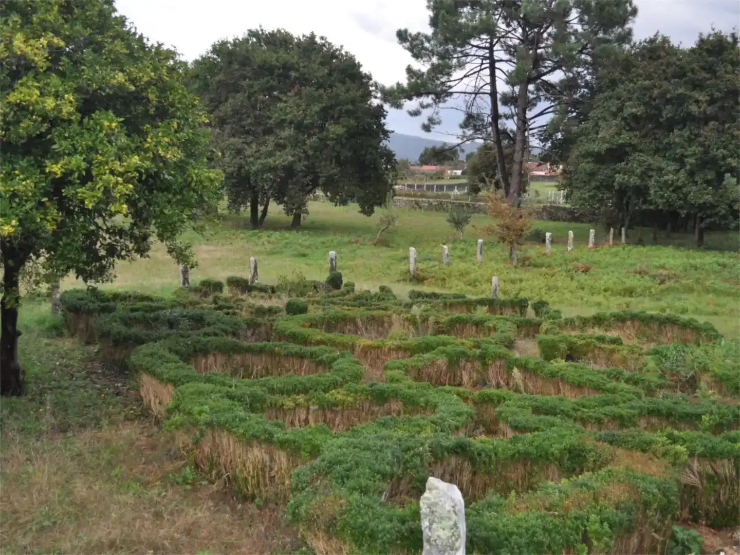 Garten von Grundstücke zum Verkauf in Vilagarcía de Arousa