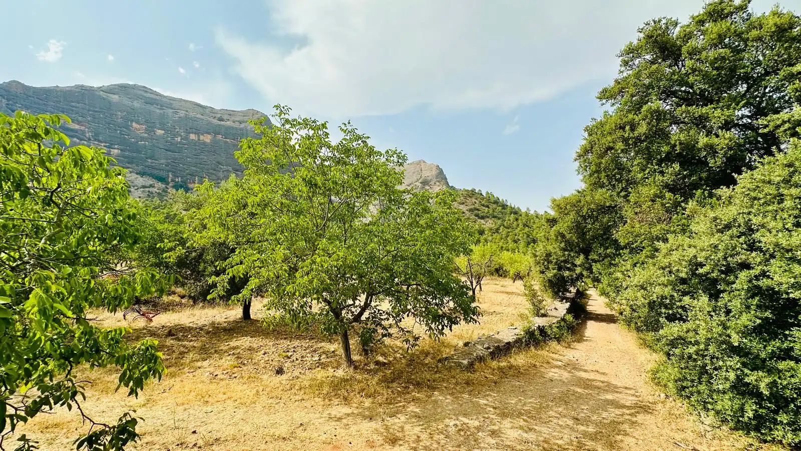 Rural land for sale in Horta de Sant Joan, imagen 8