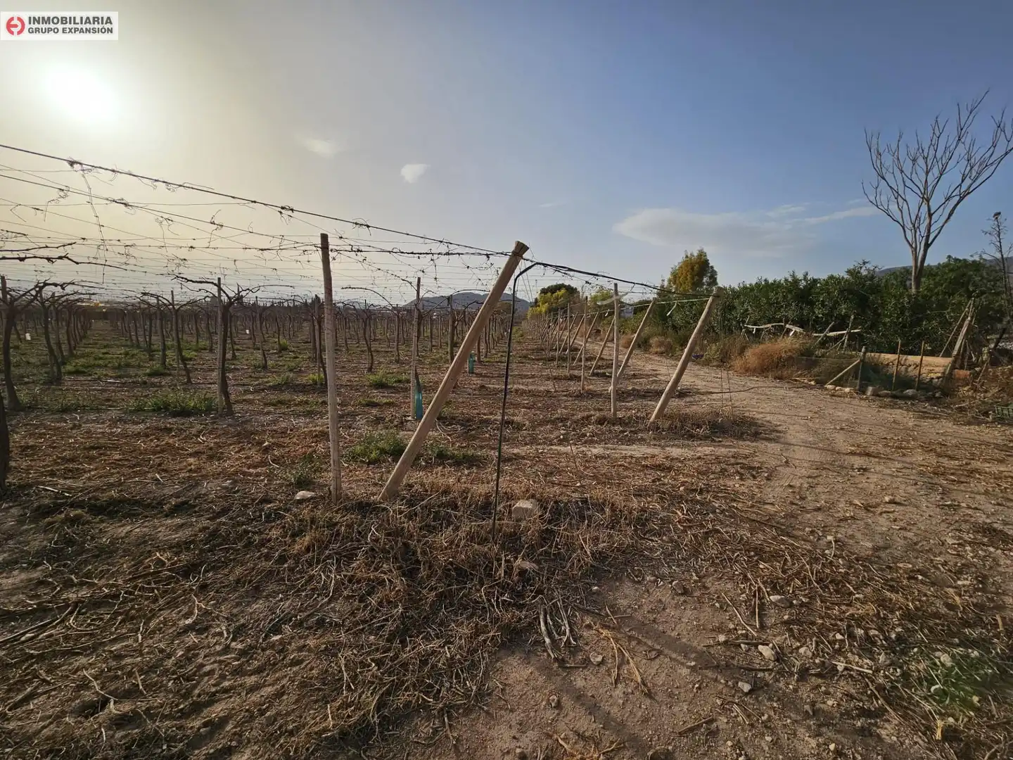 Casa o xalet en venda en Monforte del Cid amb Jardí privat i Traster
