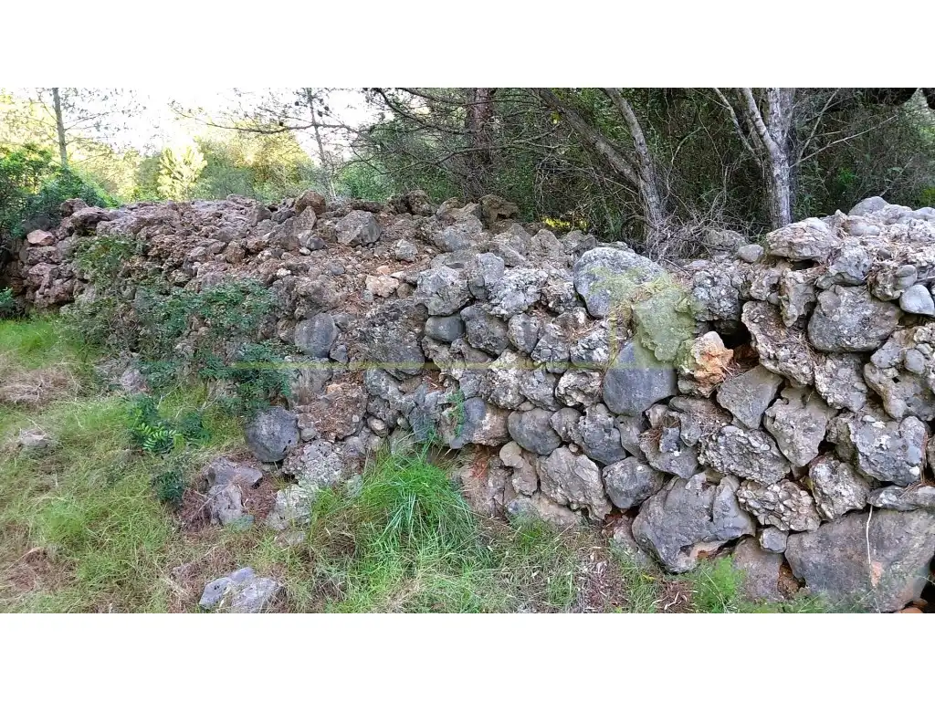 Grundstücke zum Verkauf in Vinaròs