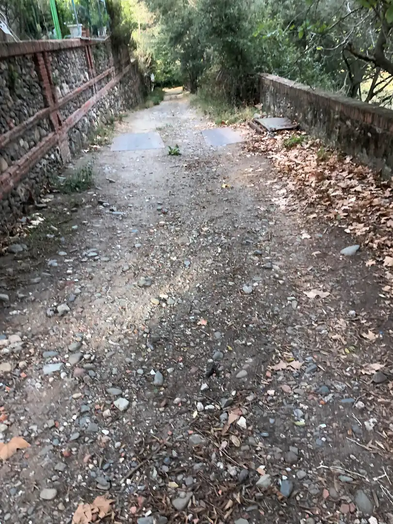 Vista exterior de Finca rústica en venta en Sant Celoni