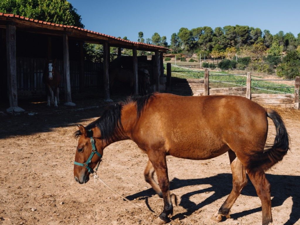 Exterior view of Country homes for sale in Rubí