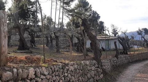 Photo 3 of Land for sale in Diseminado Sector Numero 1, 14, Fornalutx, Illes Balears