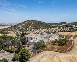 Vista exterior de Casa o xalet en venda en Osuna amb Jardí privat, Terrassa i Piscina