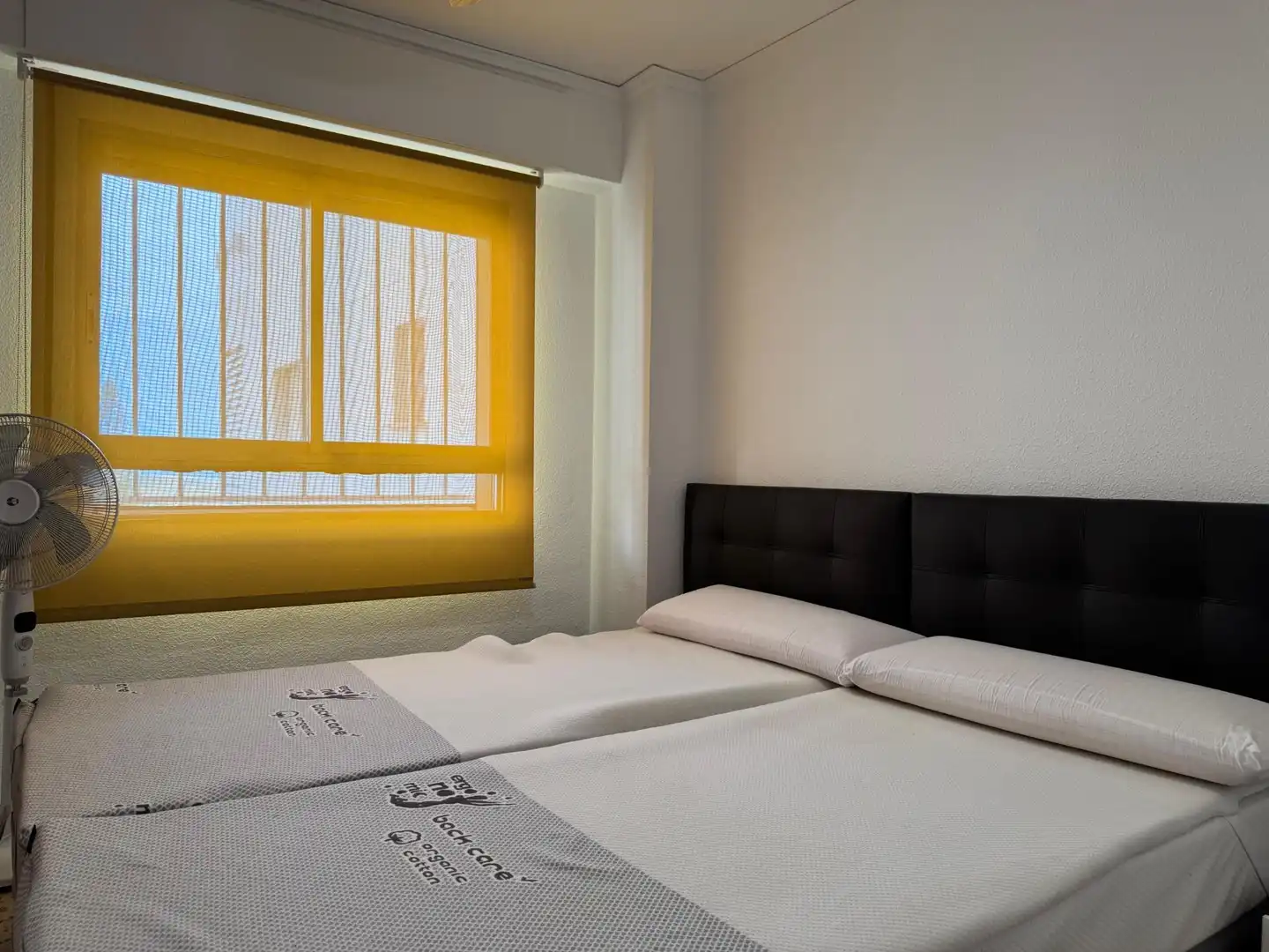 Apartments for rent in Calle c/ Cap de Sant Antoni, 1, Playa de Gandia