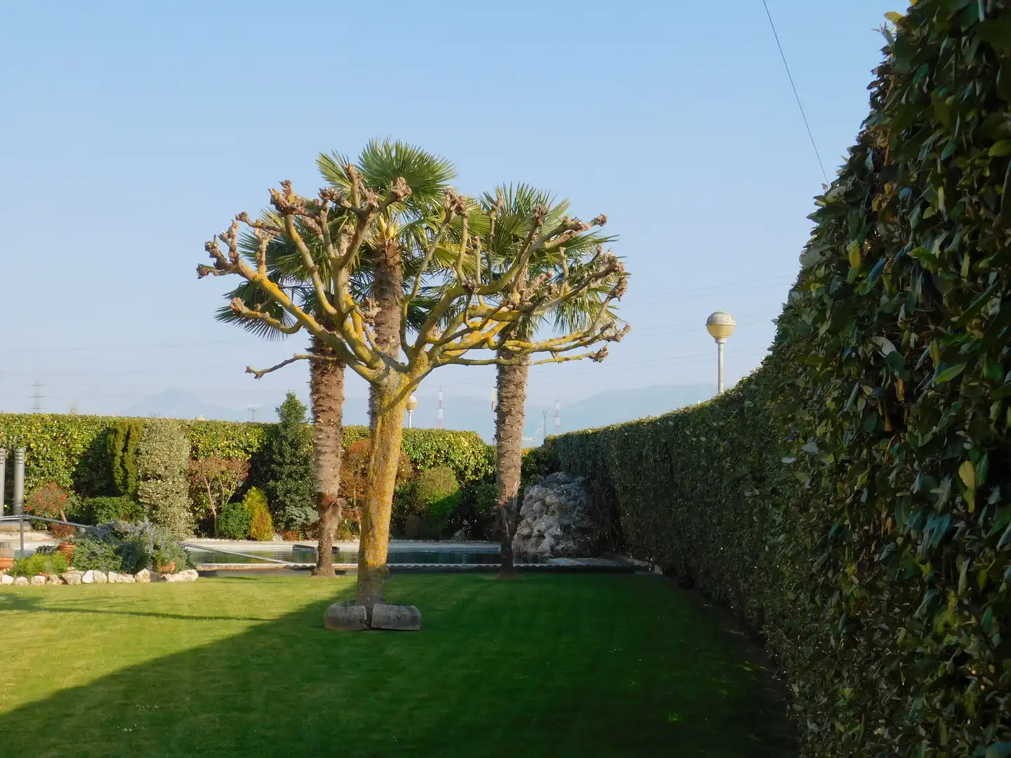 Jardín de Casa o chalet en venta en Zizur Mayor / Zizur Nagusia con Calefacción, Jardín privado y Terraza