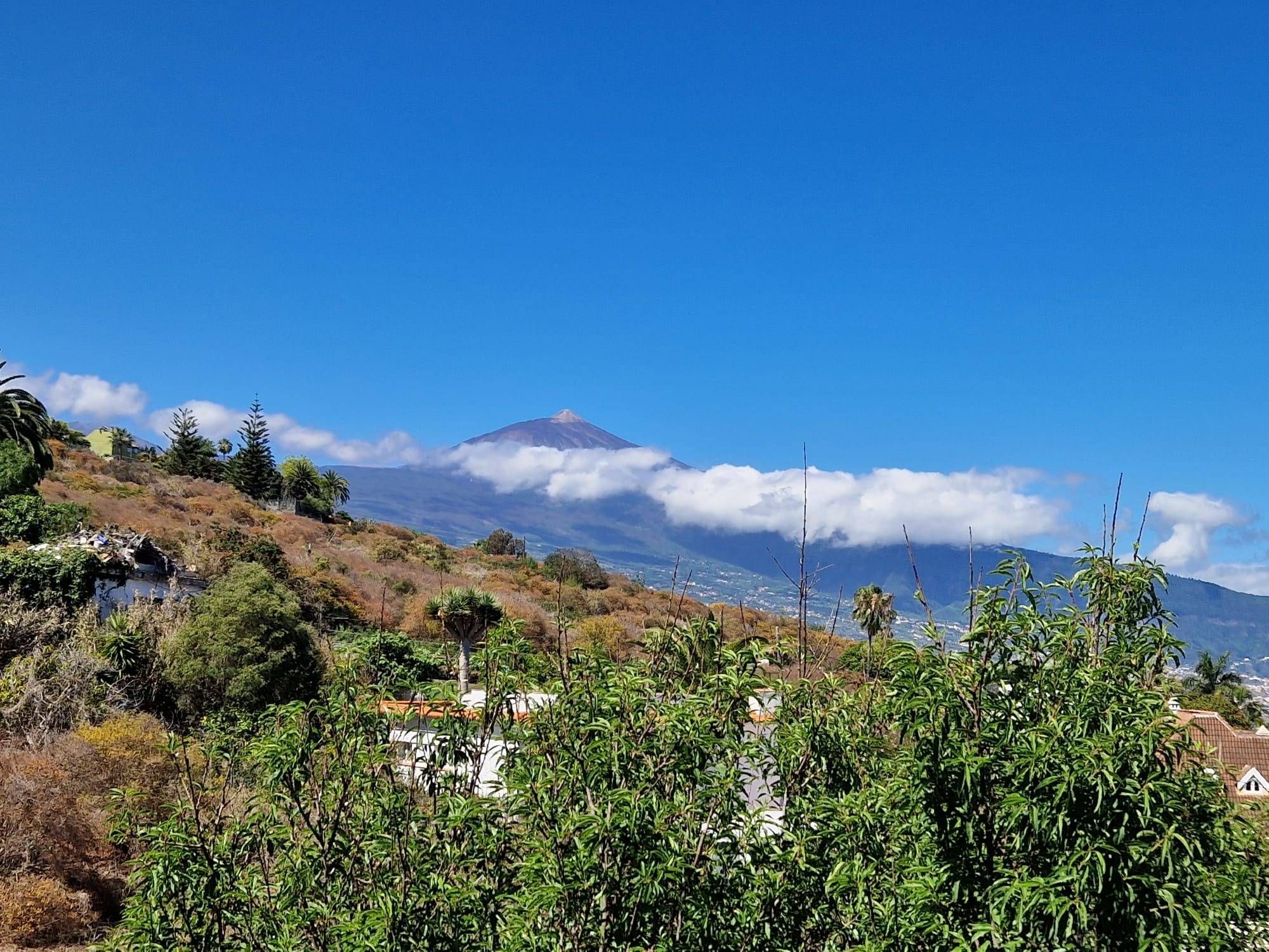 Exterior view of House or chalet for sale in Santa Úrsula  with Private garden, Terrace and Storage room