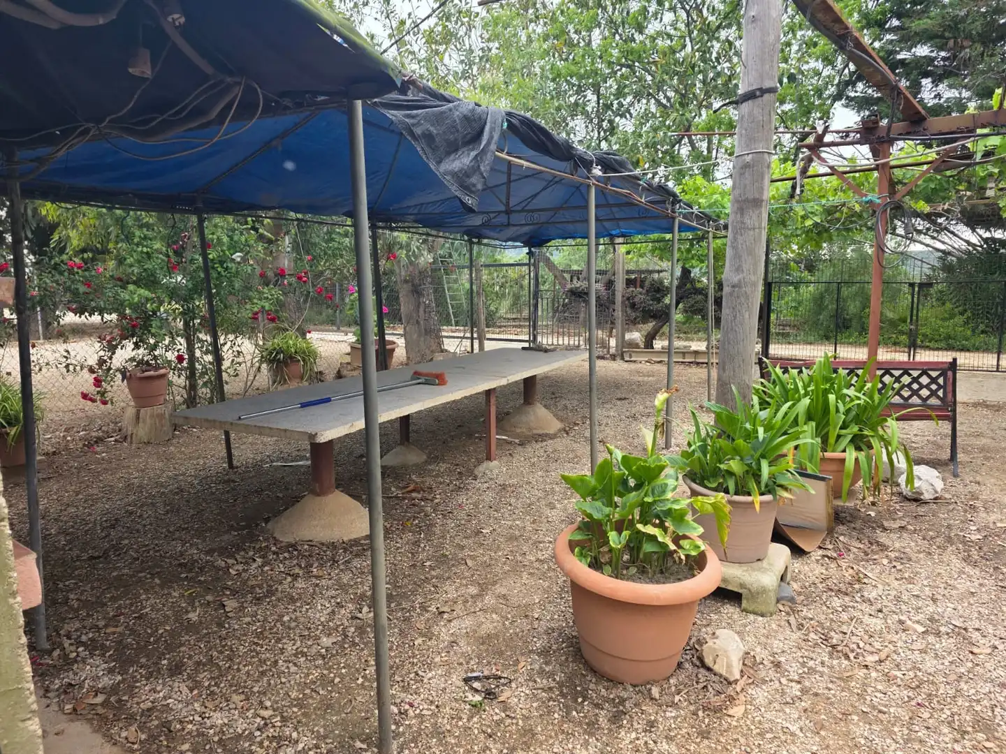 Jardín de Terreno en venta en Amposta