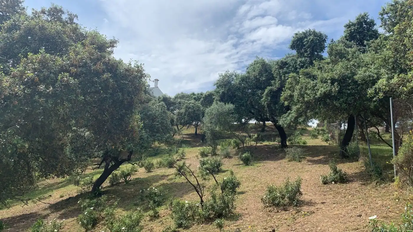 Wohnbaugrundstück zum Verkauf in Periurbano Norte, imagen 9