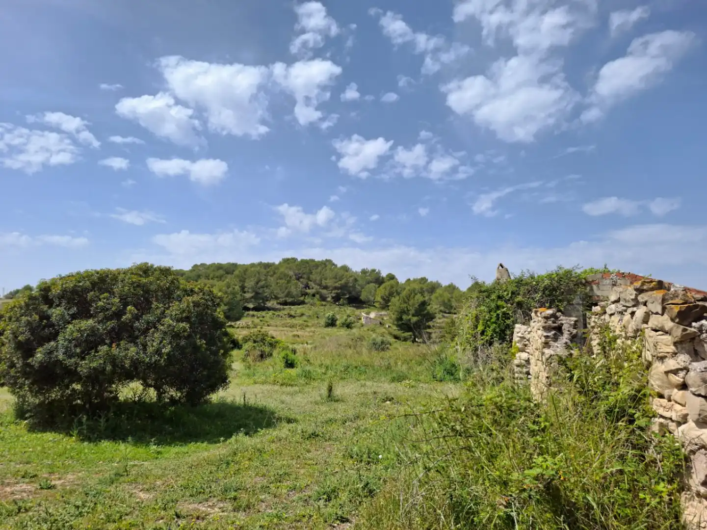 Maison rustique avec jardin à vendre à Teulada, imagen 4