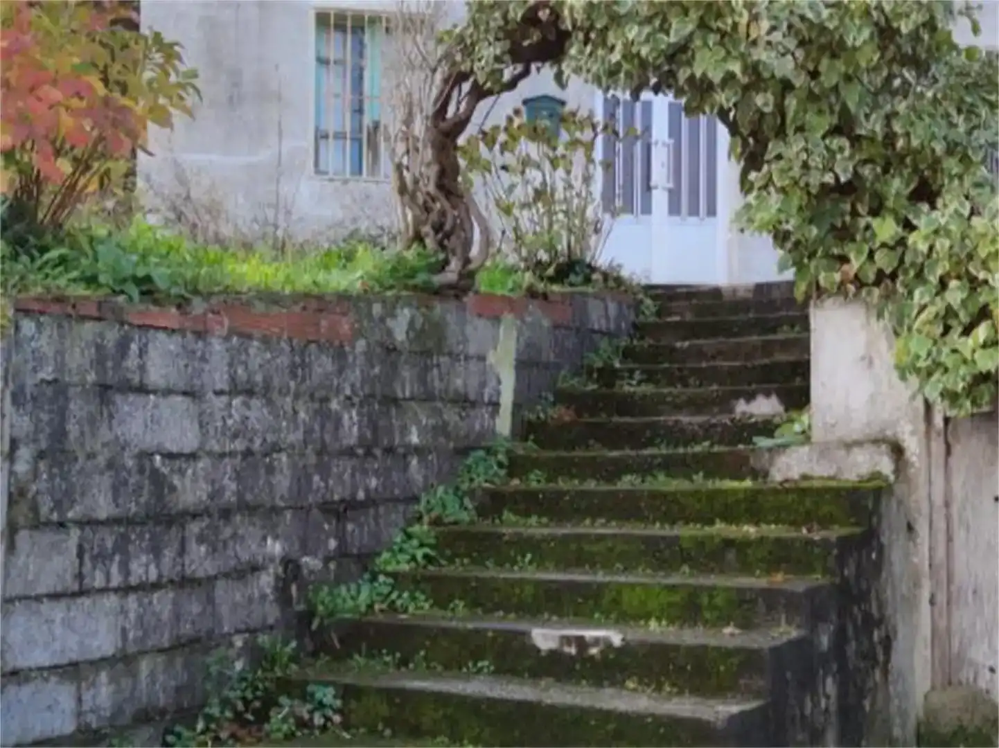 Vista exterior de Casa o xalet en venda en Becerreá amb Jardí privat i Moblat