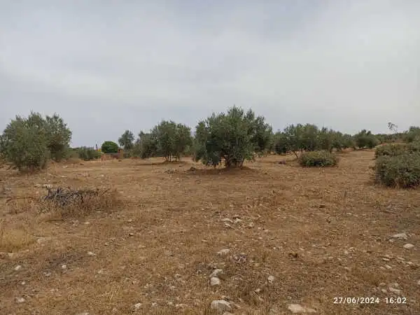 Terreni e lotti in vendita a Castellar, imagen 5