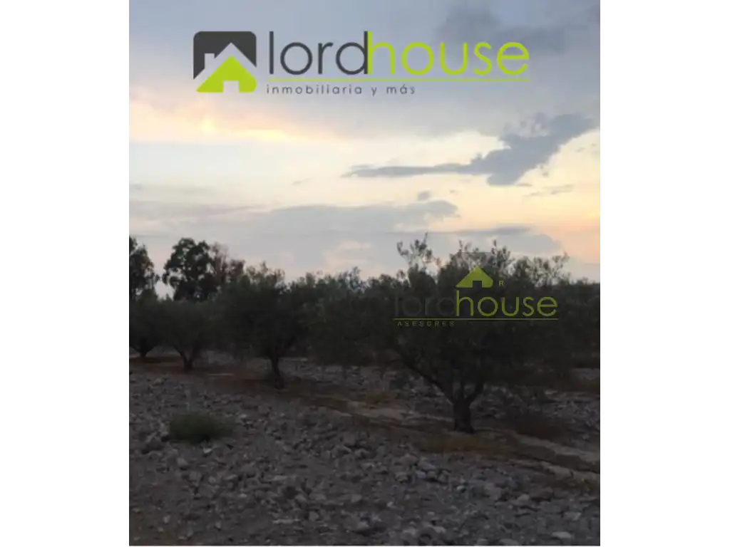 Terreny residencial en venda a Camino de los Perez, imagen 5