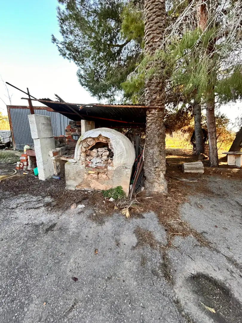 Vista exterior de Casa o xalet en venda en Elche / Elx amb Jardí privat i Moblat