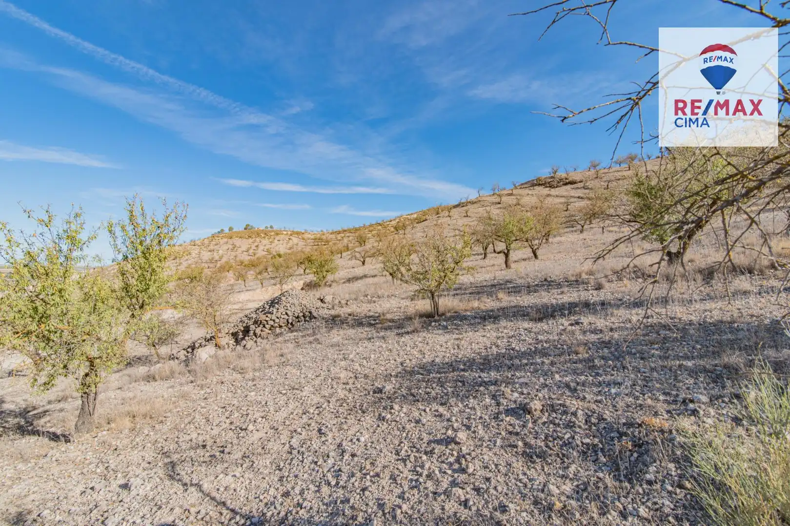 Terreno en venta en Santa Cruz del Comercio