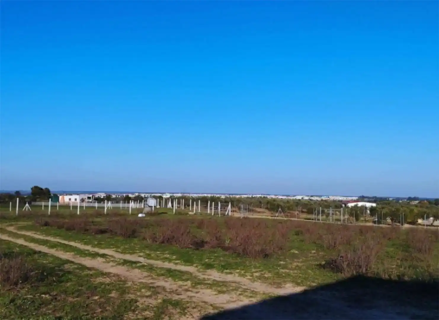 Planta baja en venta en Almonte