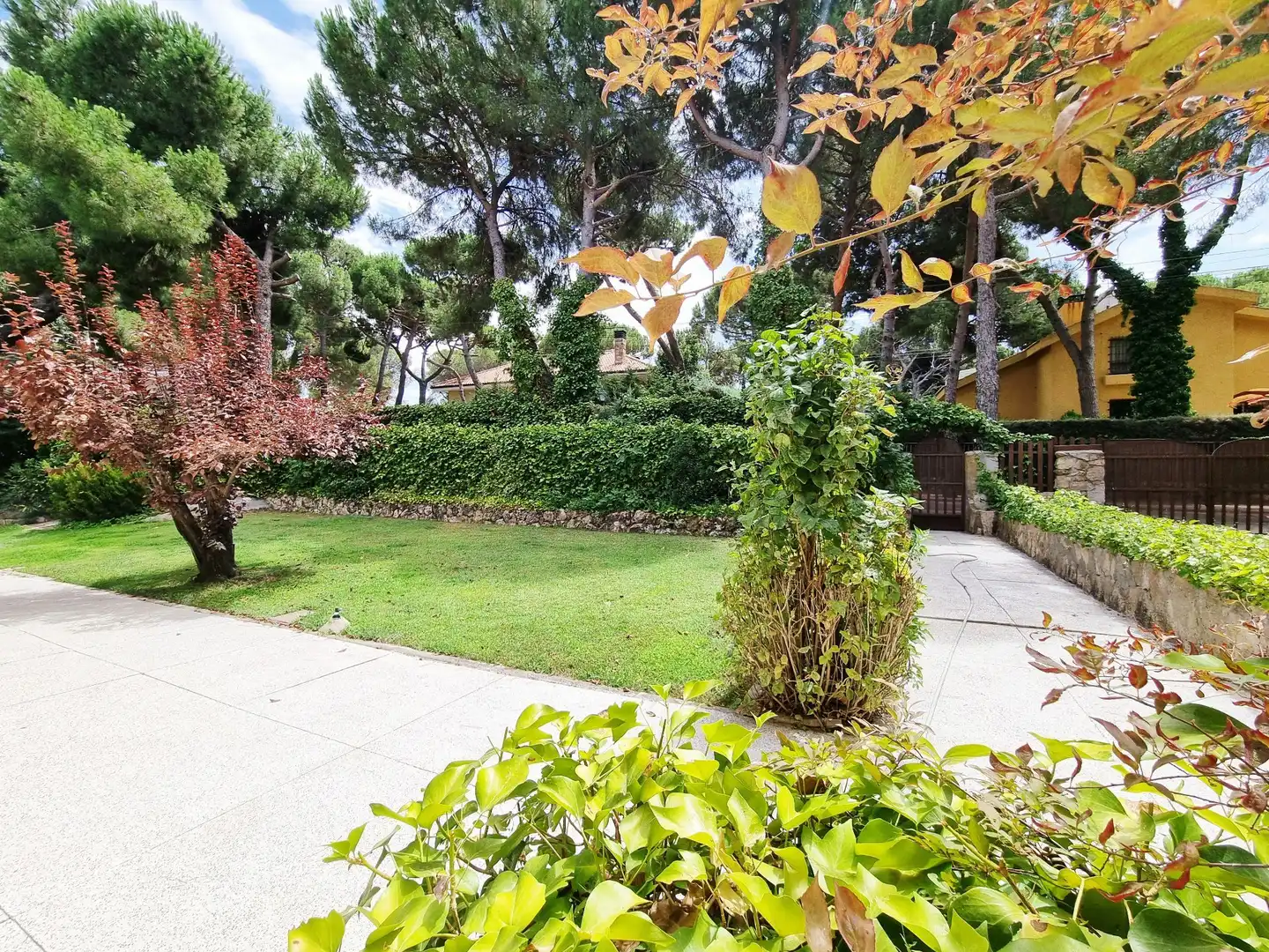 Jardí de Casa o xalet en venda en Boadilla del Monte amb Calefacció, Jardí privat i Terrassa
