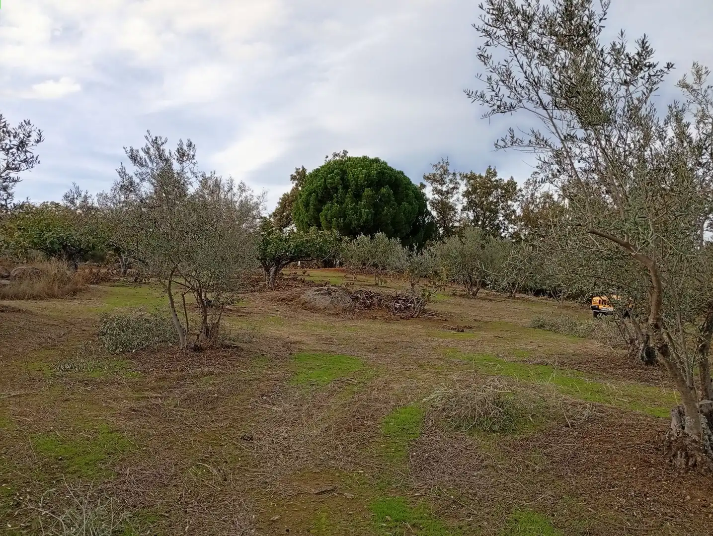 Terreni e lotti in vendita a Villanueva de la Vera, imagen 29